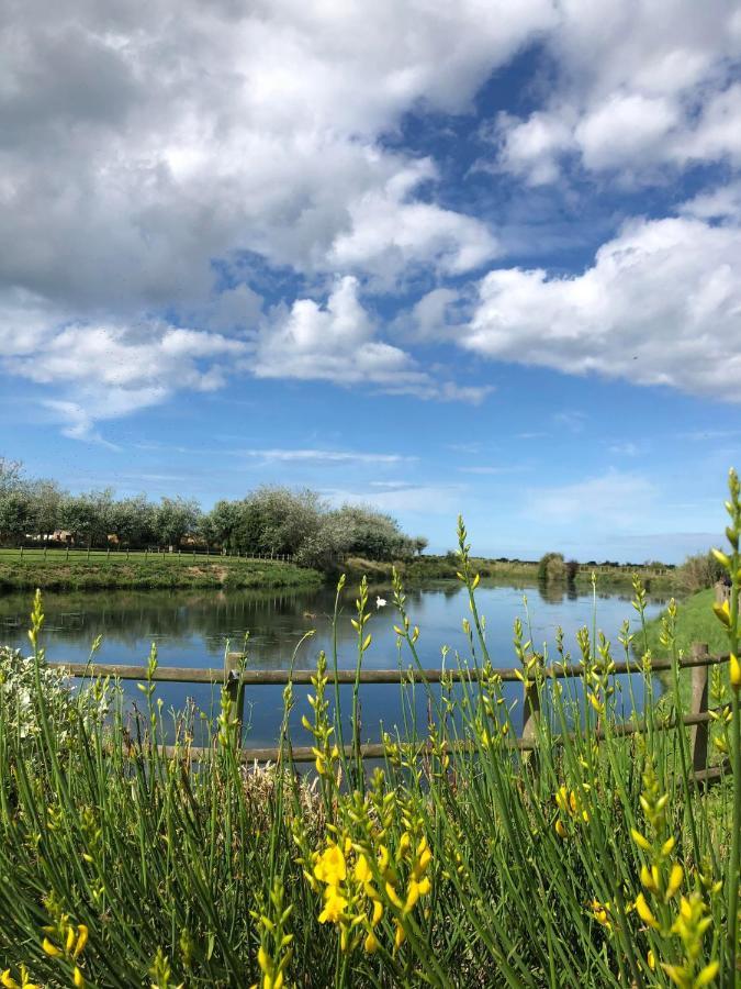 Le Cocon De Nacre - A 300M De La Plage - Wifi Courseulles-sur-Mer Exteriör bild